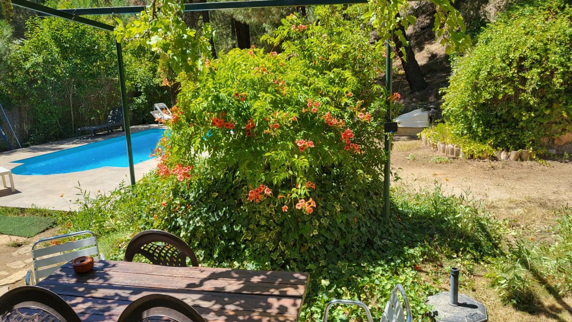 Villa de Montaña Parque Natural Calar del Río Mundo - Piscina privada- Independiente Riópar Exterior foto